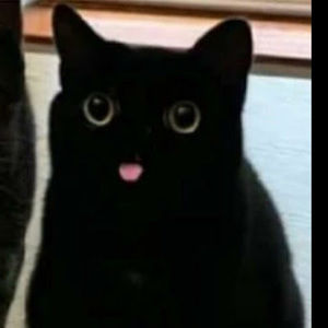 Meet your Posher, Drew